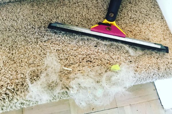 Carpet Cleaning Service Vancouver WA 42