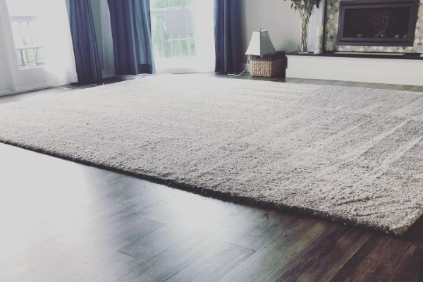Speciality Rug Cleaning Service Vancouver WA 9
